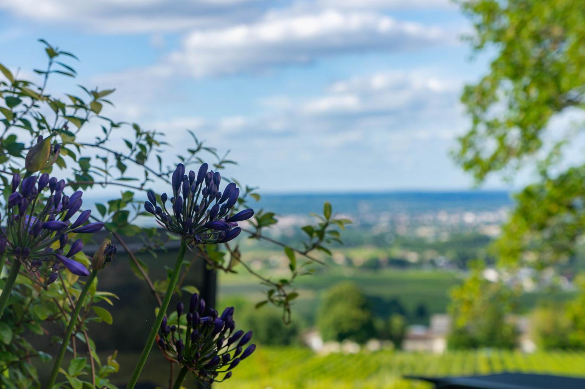 Bed and Breakfast Le Domaine De La Tour Des Vents Bergerac Exterior foto